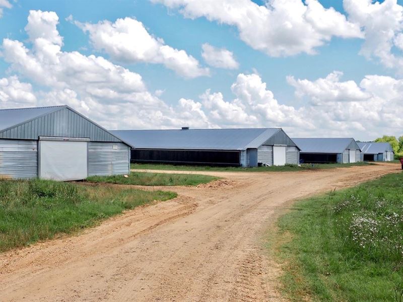 Poultry Farm 4 House Broiler 69 Acr : Magee : Simpson County : Mississippi