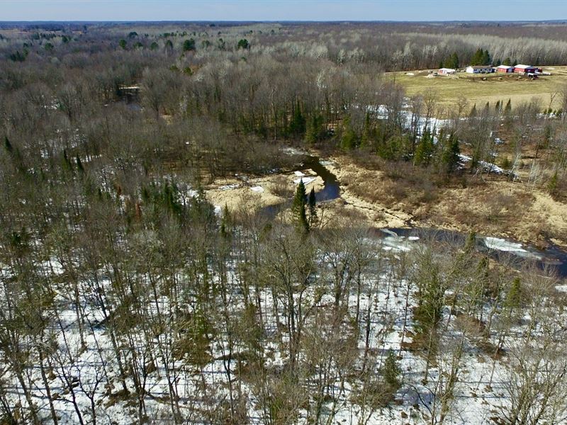 25 Acres, Taylor County : Medford : Taylor County : Wisconsin