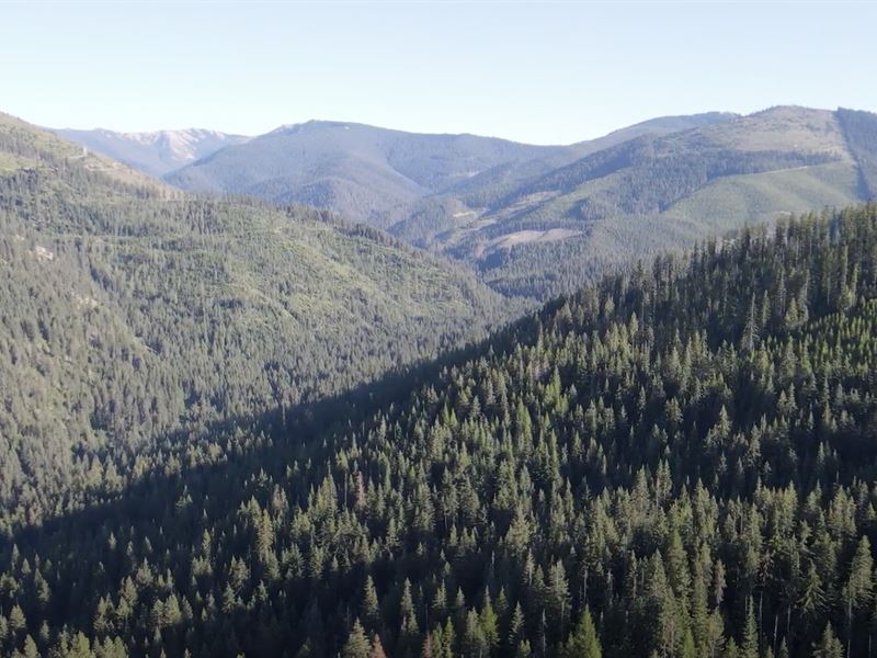 Rural 10 Ac Surrounded by Blm Land : Cataldo : Kootenai County : Idaho