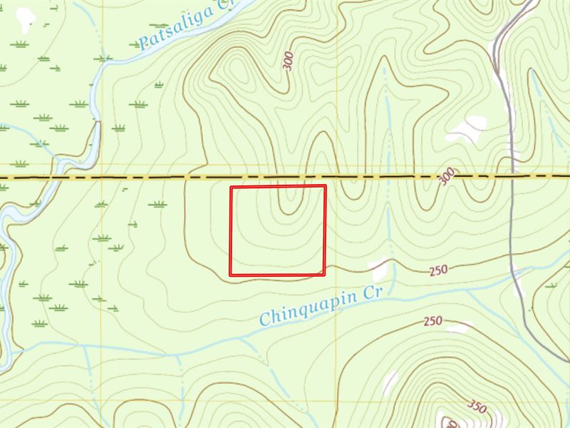 Hunting / Timber Investment : Dozier : Covington County : Alabama