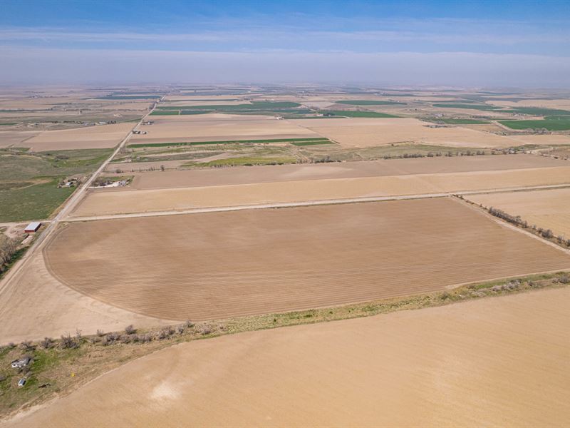 Big Red Farms, T14 Kniss : Bayard : Morrill County : Nebraska