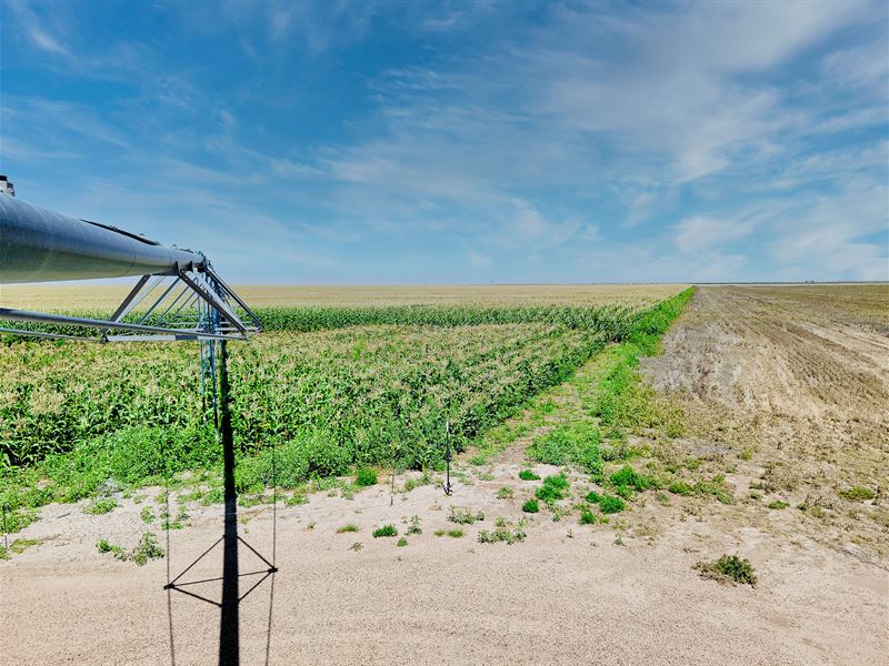 Melcher Irrigated Farm for Sale : Holly : Prowers County : Colorado
