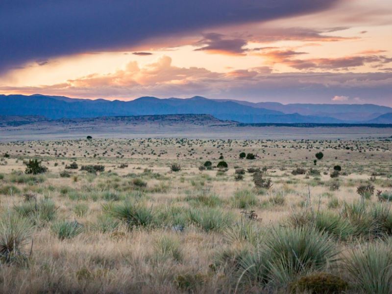 Huge Colorado Ranch Land with Power : Walsenburg : Huerfano County : Colorado