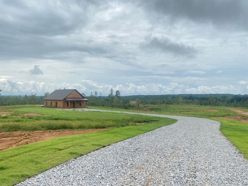 129.24 Acres with A New Cabin in LA : Oxford : Lafayette County : Mississippi