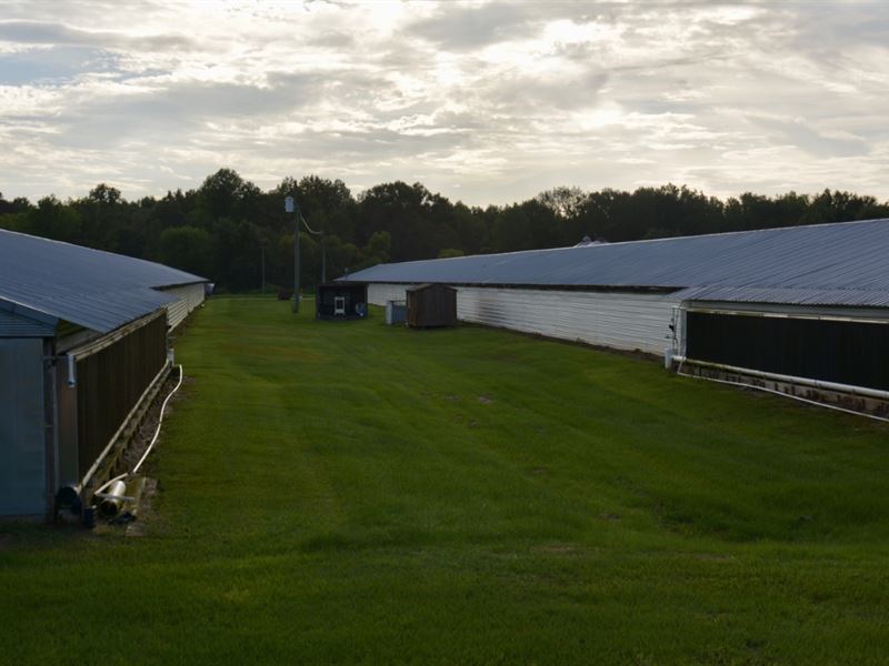 Private Farm, Many Possibilities : Carson : Jefferson Davis County : Mississippi