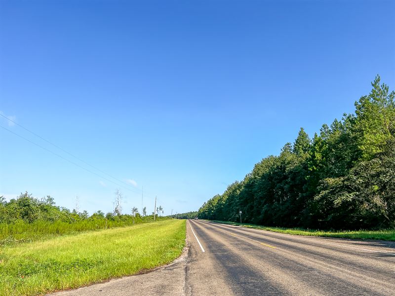 14 Acres, T-1 FM 787 : Votaw : Hardin County : Texas