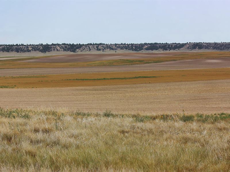Fritz Farm South Parcel : Pine Bluffs : Laramie County : Wyoming