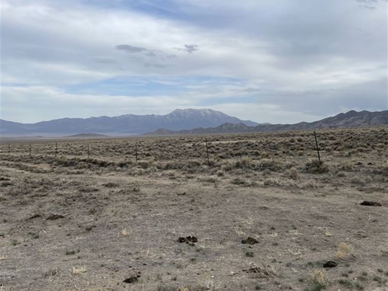 Great Area to Build Southwest of NV : Montello : Elko County : Nevada