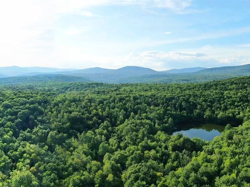 8232K Sqft in Jewett, NY : Jewett : Greene County : New York