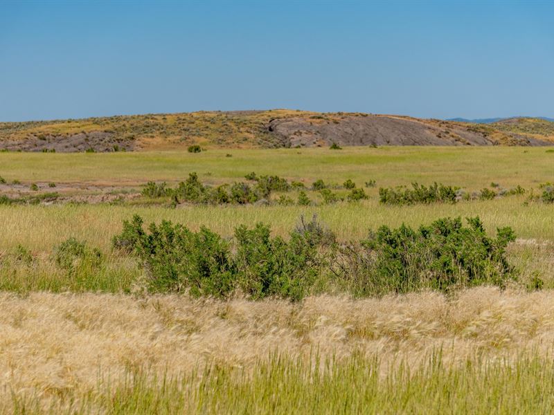 Dumbrill Creek Ranch : Moorcroft : Crook County : Wyoming