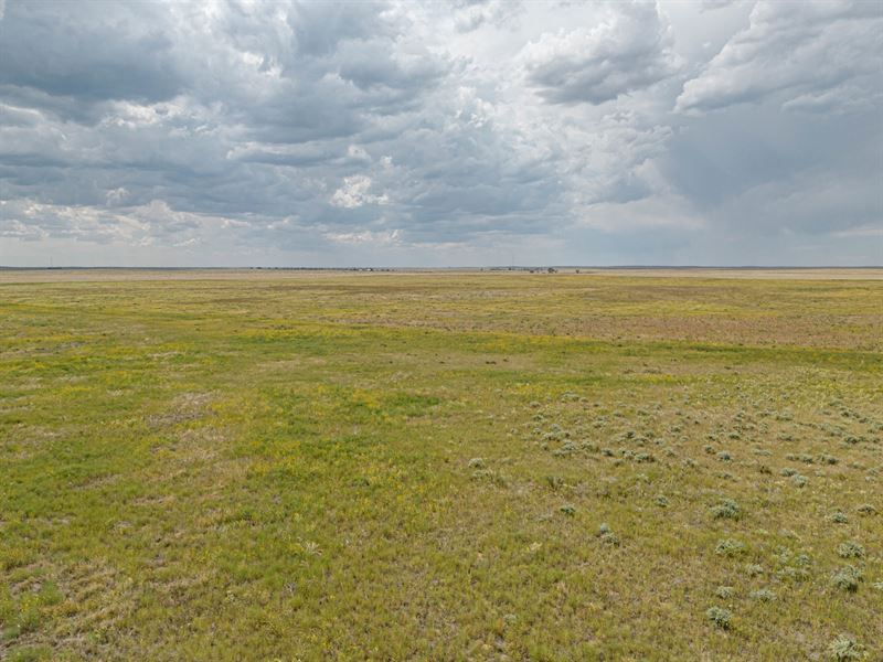 Yuma County Crp 160 : Yuma : Yuma County : Colorado
