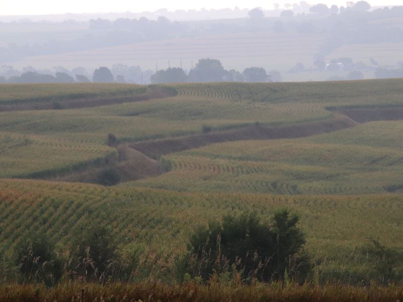 Mills County Farm and Hunt : Glenwood : Mills County : Iowa