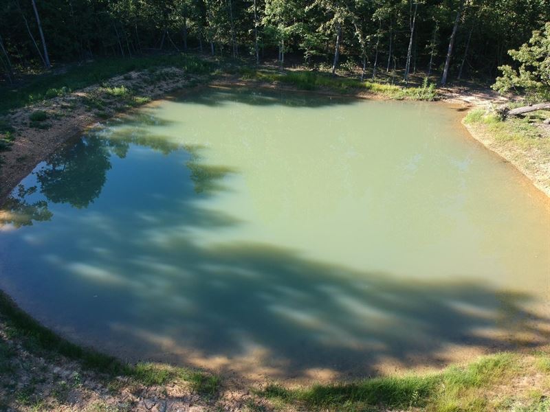 10 Acres with Beautiful Pond : Doniphan : Ripley County : Missouri