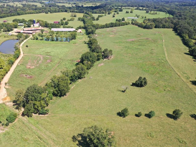 Working Cattle Farm in Montgomery : Montgomery : Montgomery County : Alabama