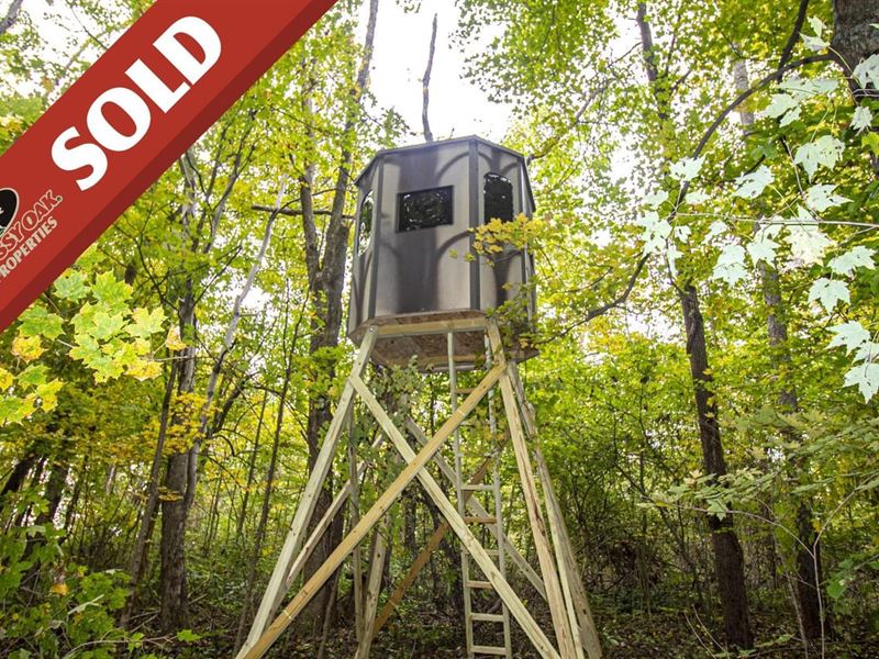 E. Reinersville Rd, 21 Acres, Mor : McConnelsville : Morgan County : Ohio