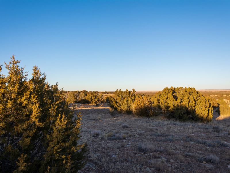 Relax & Enjoy The Peace in Holbrook : Holbrook : Navajo County : Arizona