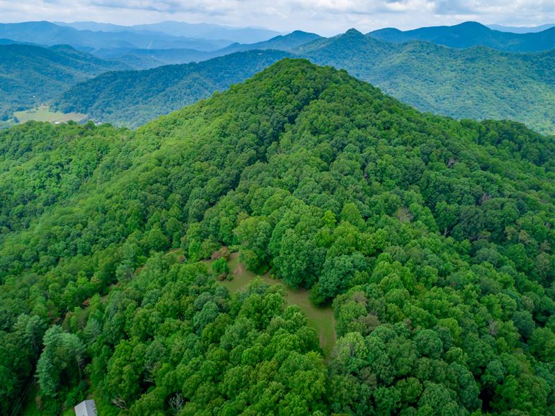 Johns Creek Property : Cullowhee : Jackson County : North Carolina