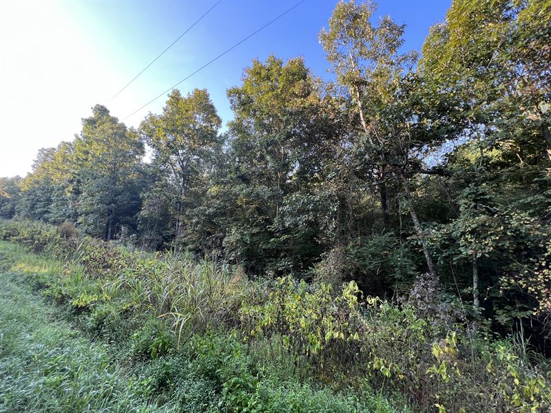 Mullinax Road Tract 2 : Taylorsville : Bartow County : Georgia