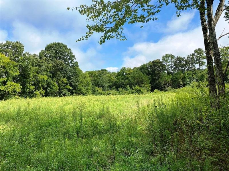 Colbert 50 Acres : Cherokee : Colbert County : Alabama