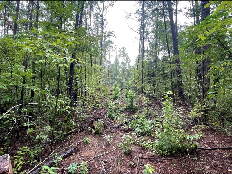 10 Acres in Lauderdale County in ME : Meridian : Lauderdale County : Mississippi