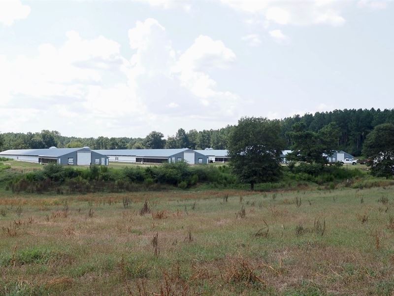 4 House Poultry Farm for Sale Missi : Collins : Covington County : Mississippi
