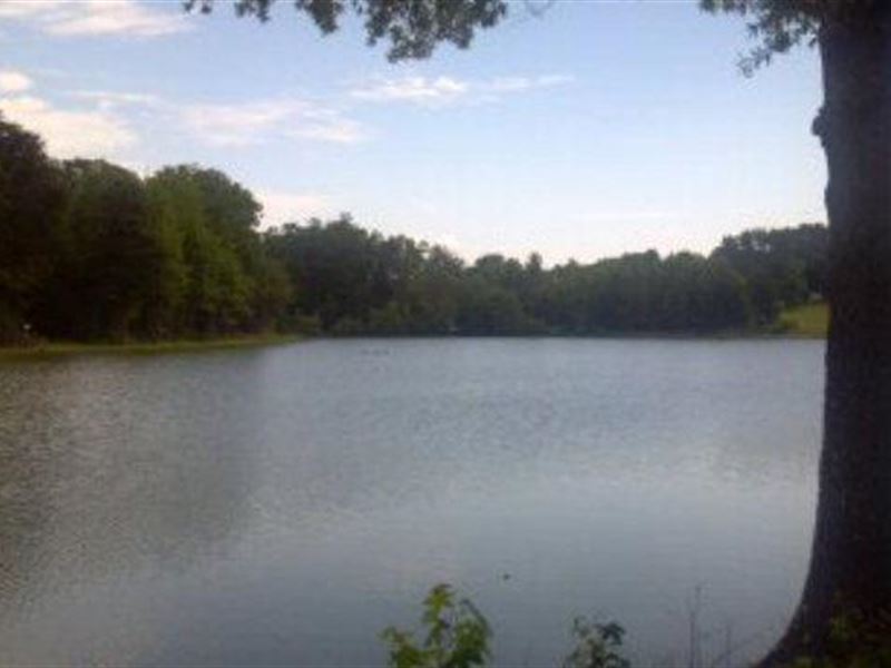 Waterfront Land with Acreage : Blairs : Pittsylvania County : Virginia