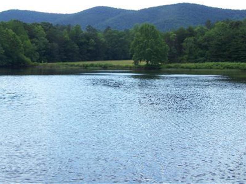 Farm Land with Timber and Acreage : Sandy Level : Pittsylvania County : Virginia