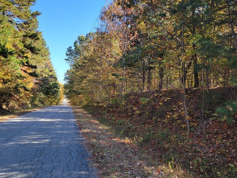Farm Land with Timber and Acreage : Alton : Halifax County : Virginia