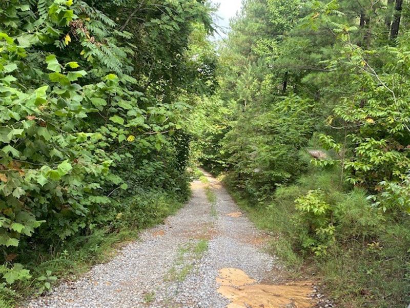 15.48+/- Acres Near State Park : South Pittsburg : Marion County : Tennessee