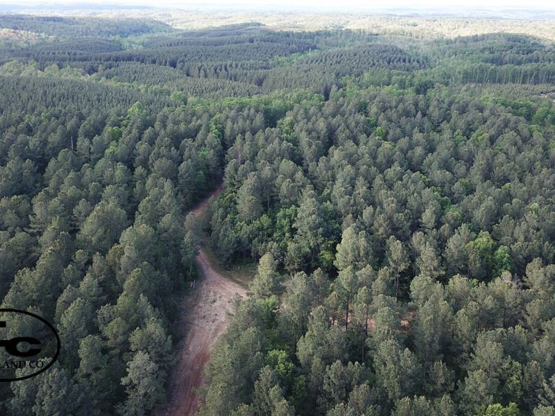 Centerville Tract : Centerville : Hickman County : Tennessee