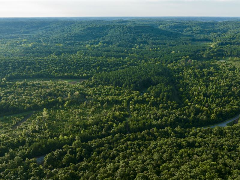Pine Tops Plantation Tract 2 : Youngtown : Lawrence County : Alabama