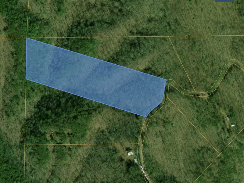 10 Acre Residential Lot, Road : Chatsworth : Murray County : Georgia