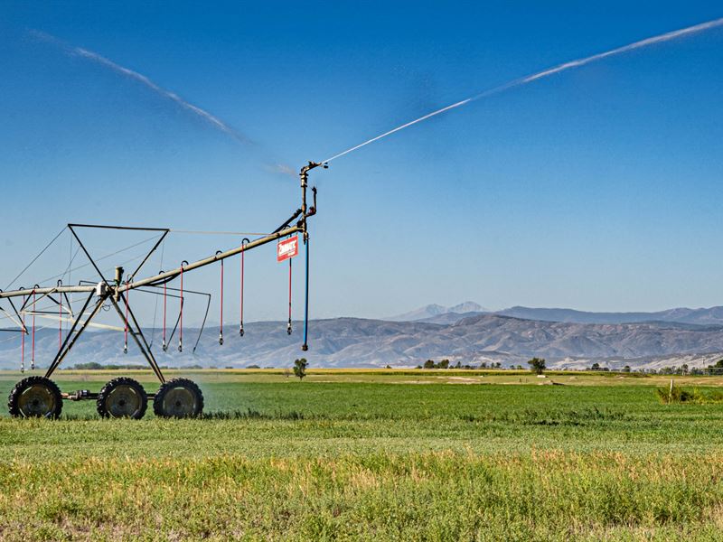 Wagner Farm : Wellington : Larimer County : Colorado