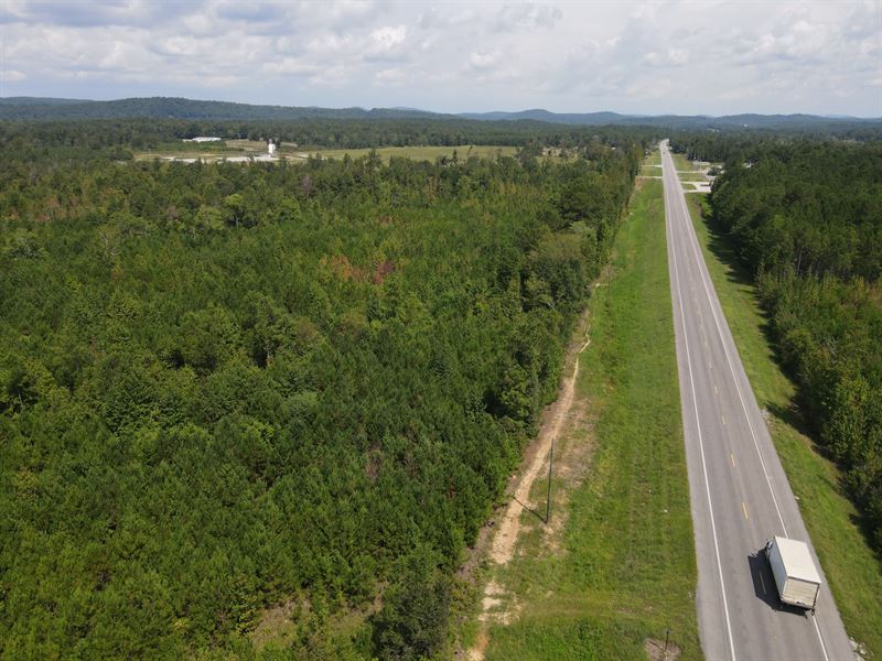 42 Acres on Hwy 77 : Ohatchee : Calhoun County : Alabama