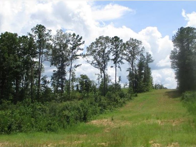 237.5 Acres in Madison County in CA : Canton : Madison County : Mississippi