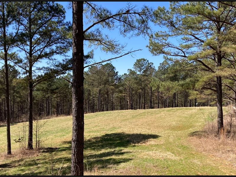 478 Acres in Lafayette County in Ox : Oxford : Lafayette County : Mississippi
