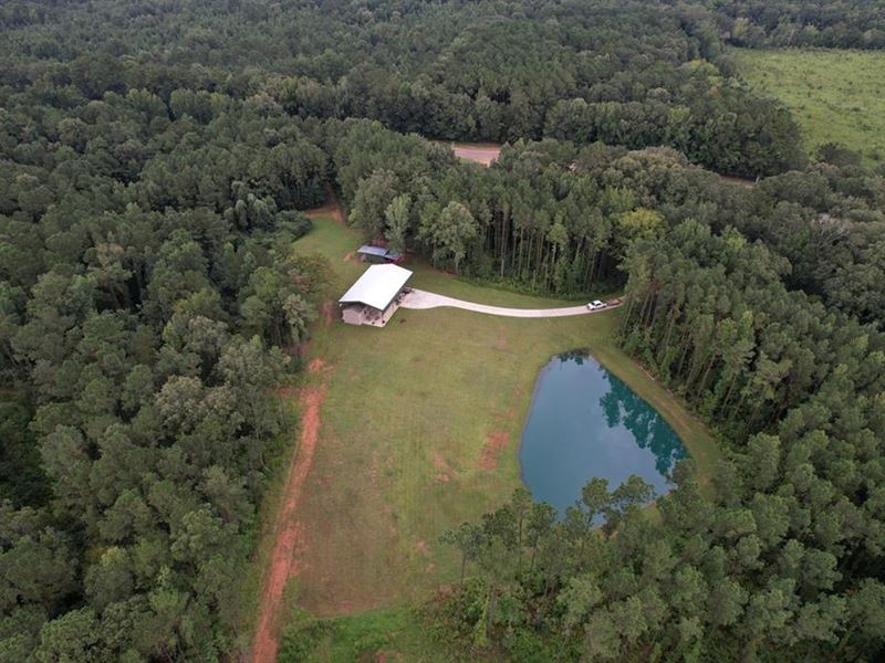 Turnkey Hunting Land for Sale Wilki : Centreville : Wilkinson County : Mississippi