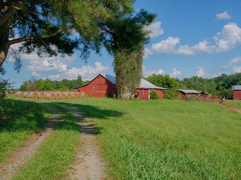 Fiddlers Green Farm : Gordonsville : Orange County : Virginia