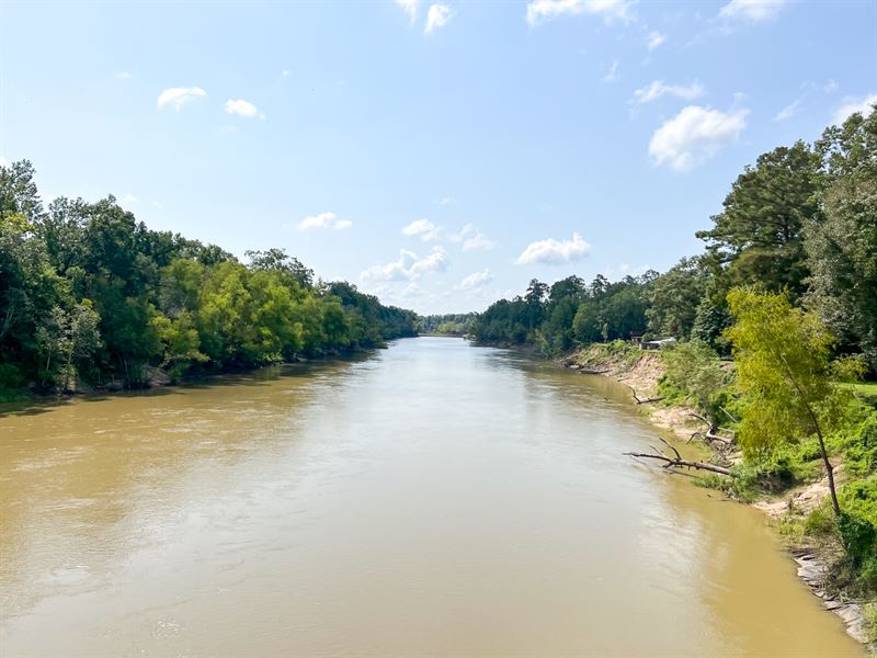 134 Acres, Neches River Front : Spurger : Tyler County : Texas