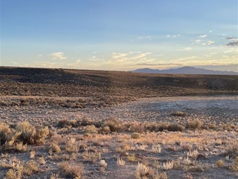 New Adventure for The Whole Family : Montello : Elko County : Nevada