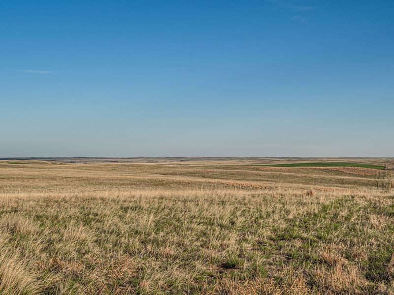 Big Red Farms, T 35 Dix 640 : Kimball : Kimball County : Nebraska