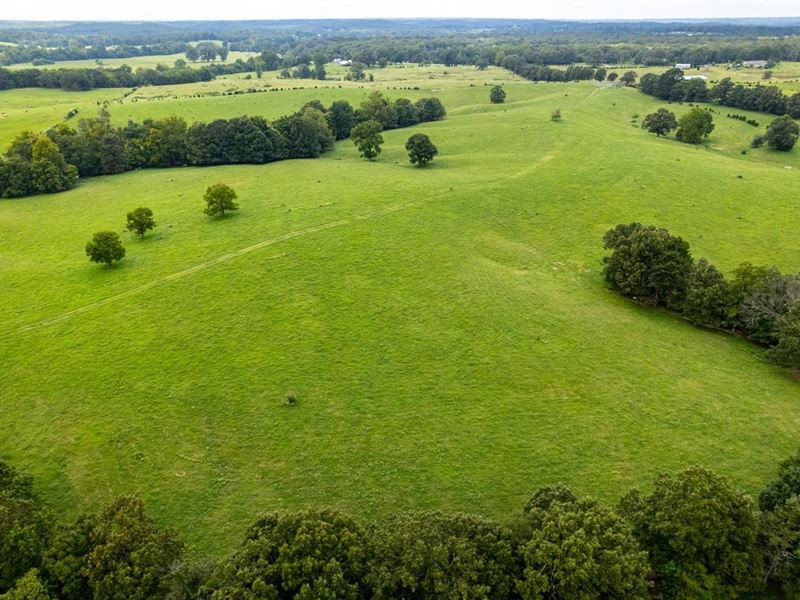 225 Acres, Cattle Farm, Highway : Cord : Independence County : Arkansas