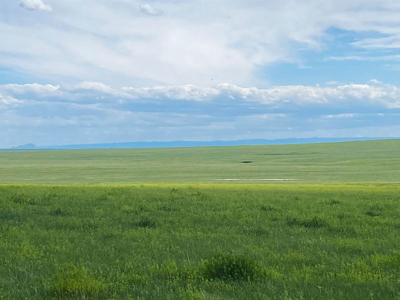 Haefeles Castle Rock Pasture : Newell : Butte County : South Dakota