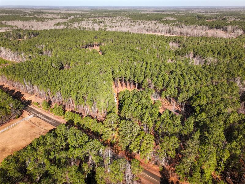 Choctaw County, 90.40 Acre Residen : Mathiston : Choctaw County : Mississippi