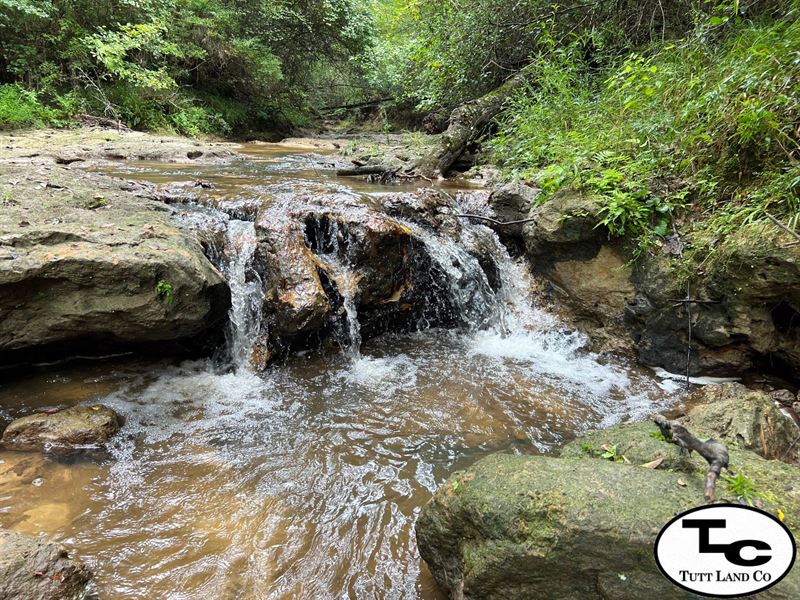 Turner Creek Tract : Jack : Coffee County : Alabama