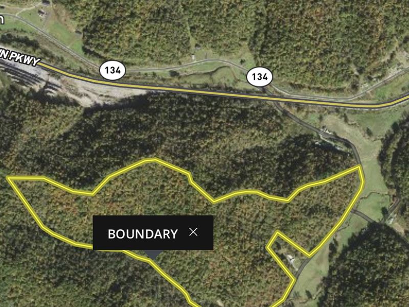 Cabin on Beautiful Kentucky Land : Salyersville : Magoffin County : Kentucky