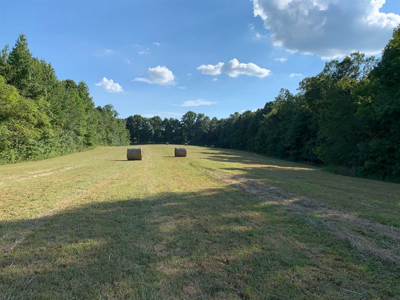 Cowhorne Hollow : Prospect : Giles County : Tennessee