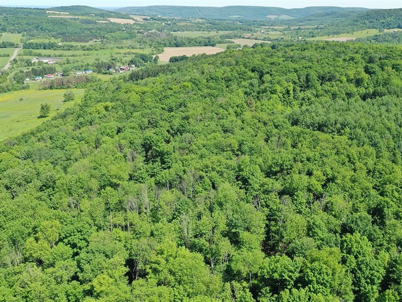5157K Sqft in Stratford, NY : Stratford : Fulton County : New York