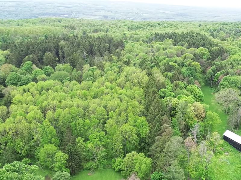 524K Sqft in Cazenovia, NY : Cazenovia : Madison County : New York