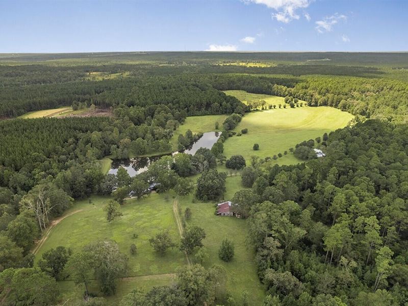 200 Acre Secluded Country Estate Fo : Hattiesburg : Forrest County : Mississippi